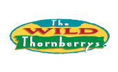 The Wild Thornberrys Games