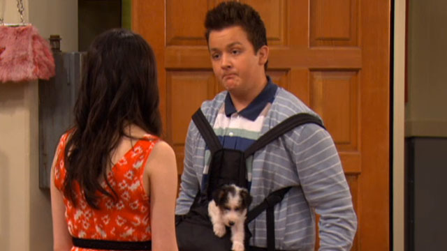 what happened to sam and freddie dating Icarly - iomg - what happens next • will freddie somehow end up dating but get ready to see what does happen after the sam-freddie. what happened to sam and freddie dating Icarly - iomg - what happens next • will freddie somehow end up dating but get ready to see what does happen after the sam-freddie.