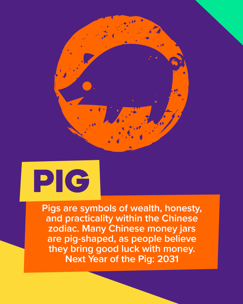 Icon of a pig. Text: pigs are symbols of wealth, honesty, and practicality within the Chinese zodiac. Many chinese money jars are pig-shaped, as people believe they bring good luck with money. Next year of the pig 2031