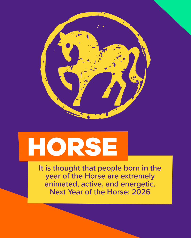 Icon of a horse. Text: it is thought that people born in the year of the horse are extremely animated, active, and energetic. Next year of the horse 2026