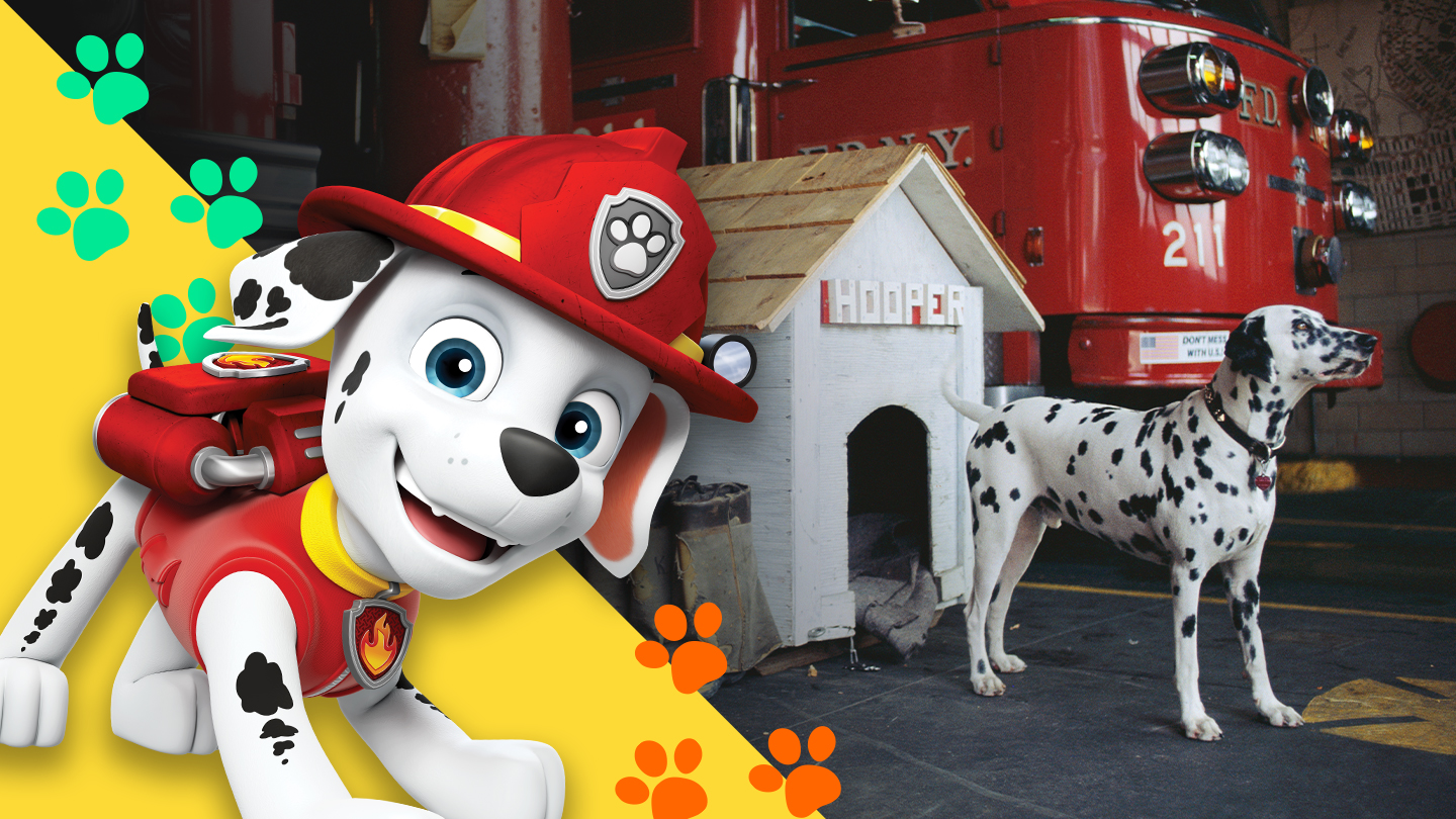Marshall from PAW patrol and Dalmatian dog in firehouse