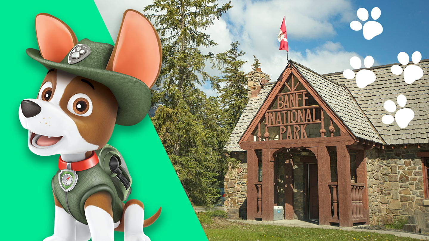 Rocky from PAW Patrol outside BANFF National Park cabin image