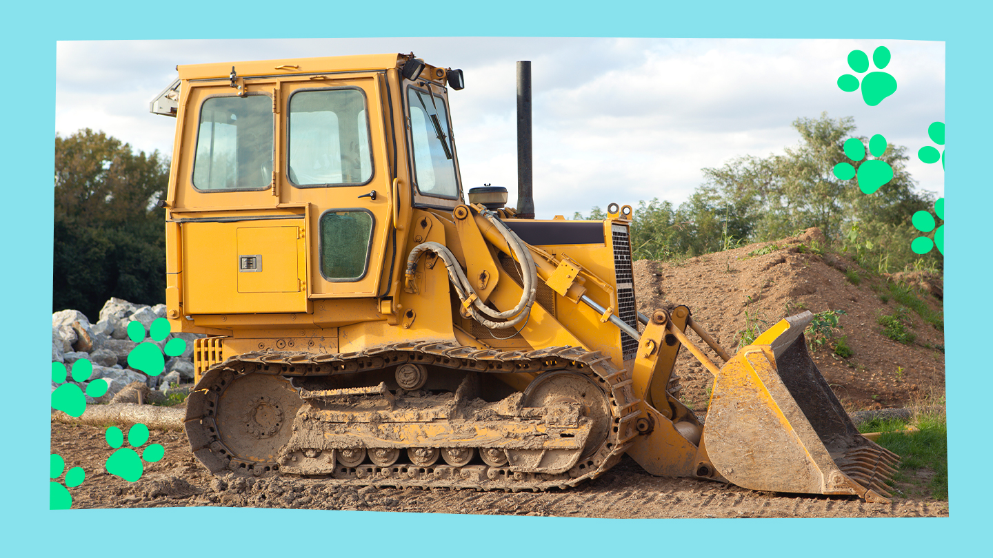 construction equipment with paw prints image