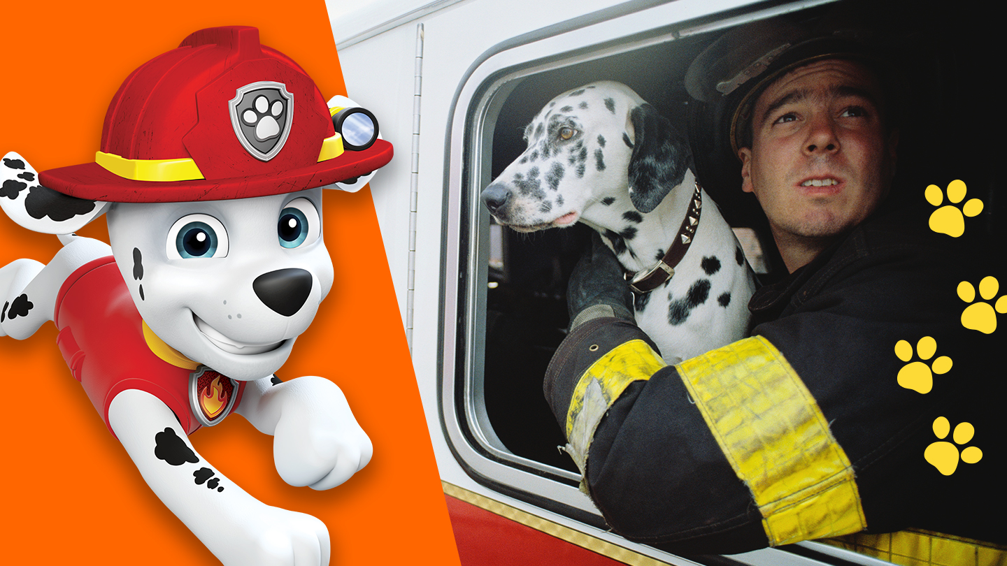 Marshall from PAW Patrol and Dalmatian dog and firefighter in fire truck